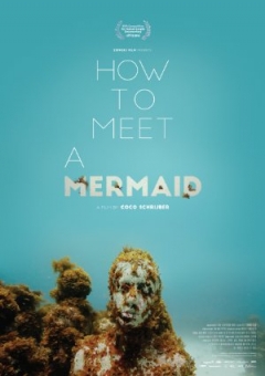 How to Meet a Mermaid (2016)