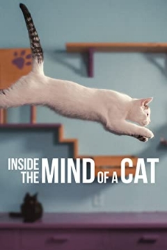 Inside the Mind of a Cat Trailer