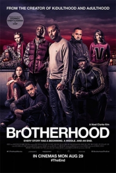 Brotherhood (2016)