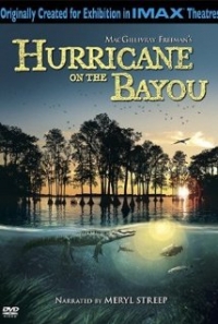 Hurricane on the Bayou (2006)