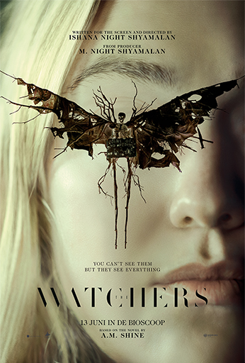 Teasertrailer van 'The Watcher'