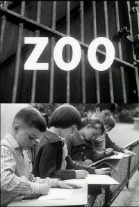 Zoo (1962)