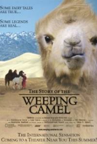 The Story of the Weeping Camel Trailer
