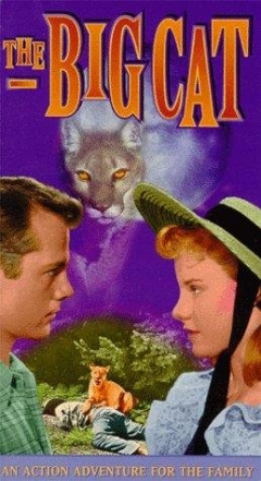 Filmposter van de film The Big Cat