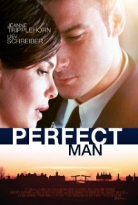 A Perfect Man (2013)
