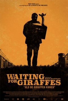 Waiting for Giraffes poster