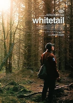 Whitetail (2025)