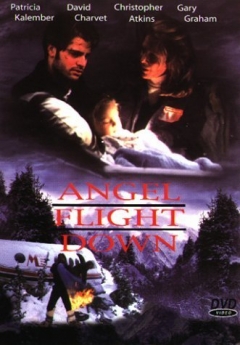 Angel Flight Down (1996)