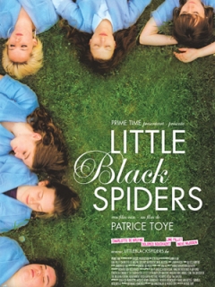 Little Black Spiders