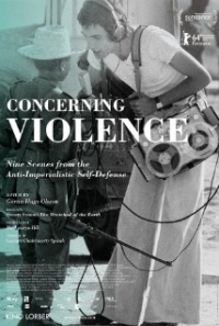 Concerning Violence (2014)