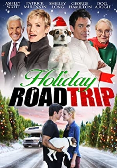 Holiday Road Trip (2013)