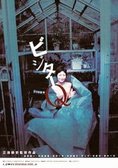 Visitor Q (2001)