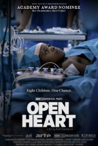 Open Heart (2013)