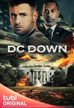 DC Down Trailer