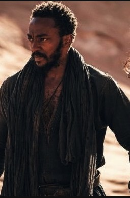 Desert Warrior (2025)