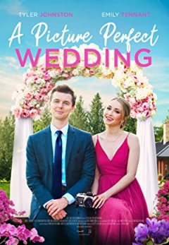 A Picture Perfect Wedding Trailer