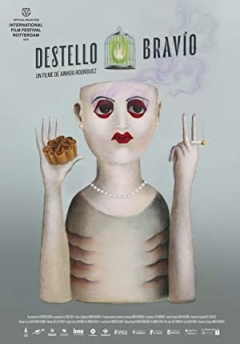 Destello Bravío poster