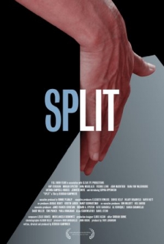 Split Trailer