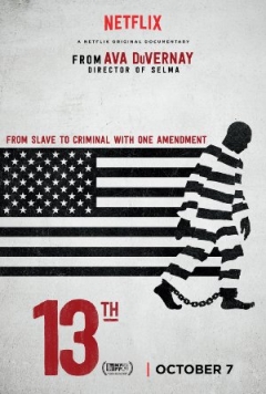 The 13th (2016)