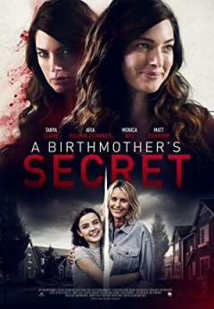 Birthmother's Betrayal (2020)