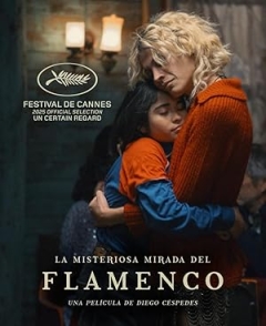 The Mysterious Gaze of the Flamingo