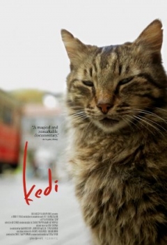 Kedi Trailer