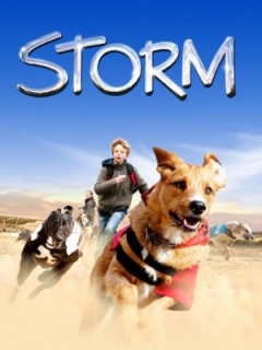 Storm Trailer