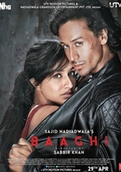 Baaghi: A Rebel For Love (2016)