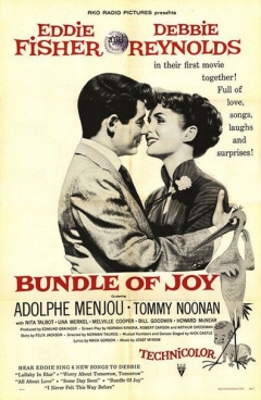 Filmposter van de film Bundle of Joy