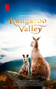 Kangaroo Valley Trailer