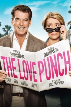 Love Punch (2013)