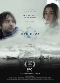 Red Knot (2014)