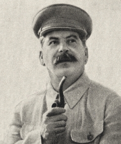 In the Wake of Stalin (2014)