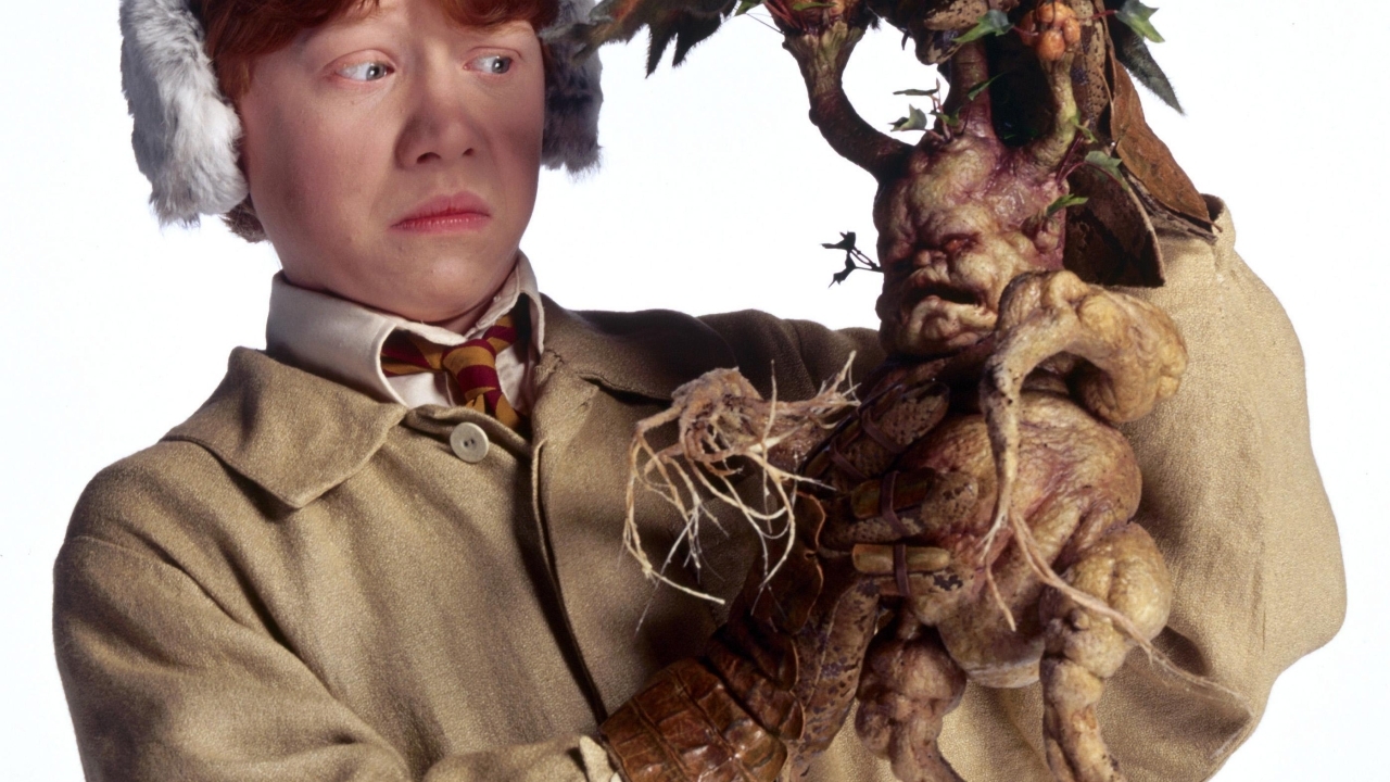 Rupert Grint geeft zijn 'Harry Potter'-miljoenen uit aan kinderwens