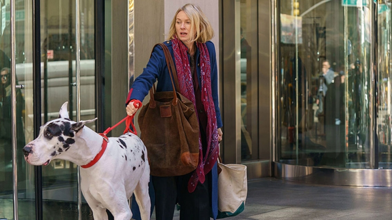 Bill Murray laat Naomi Watts zijn enorme Deense dog achter in de trailer van dramafilm 'The Friend'