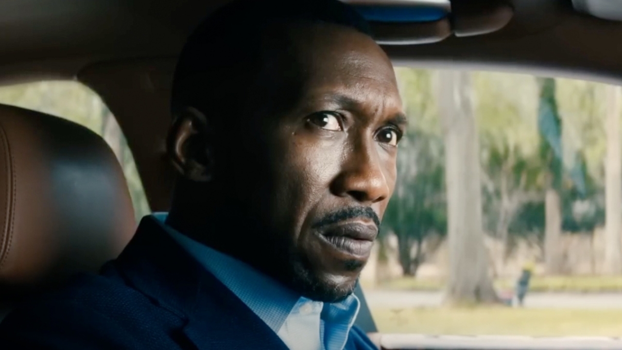 3 dikke aanraders die nu gewoon op Netflix staan