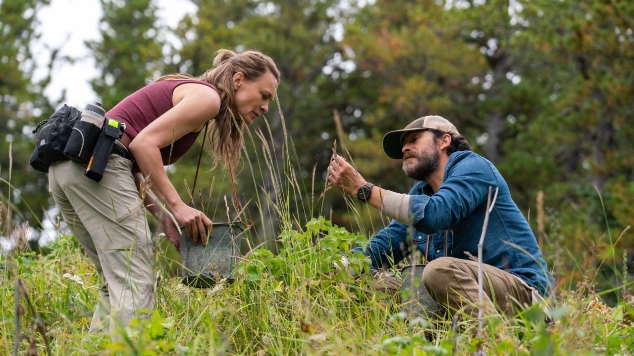 Dikke tranentrekker trekt al dagen veel bekijks op Netflix: "krachtige prestatie en visueel adembenemend"