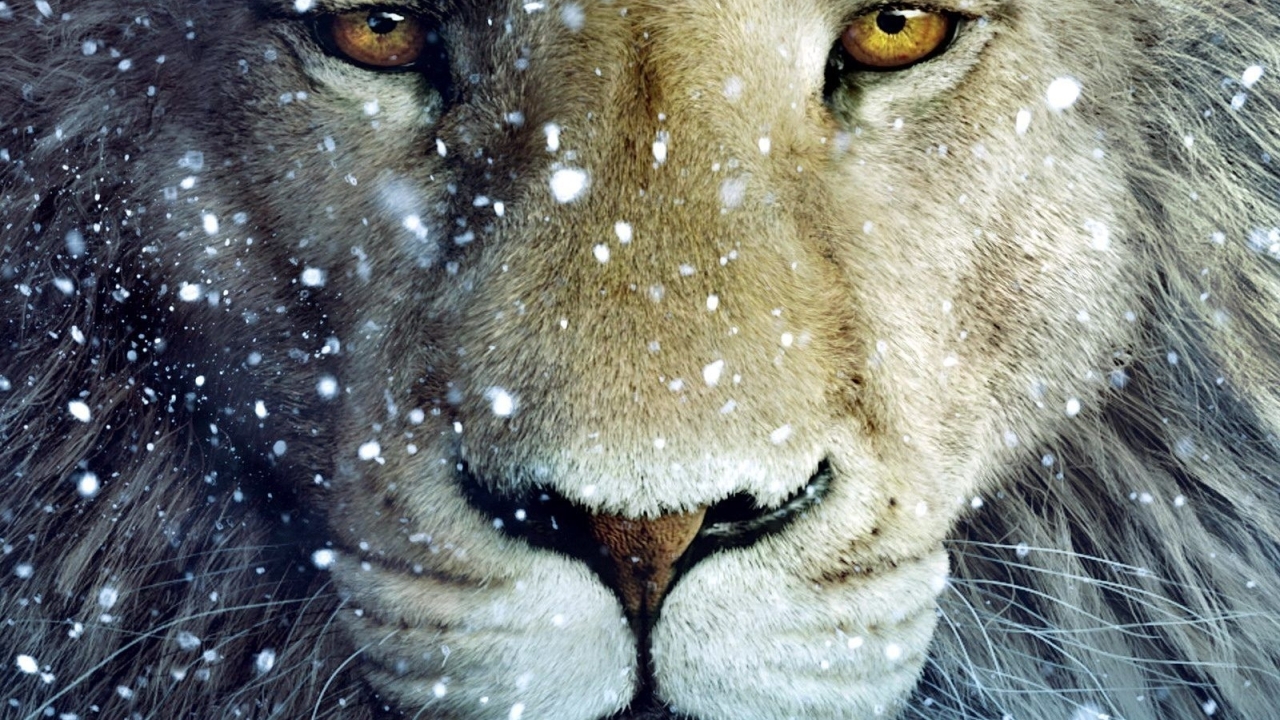 Netflix' 'Chronicles of Narnia'-franchise plant al ver vooruit