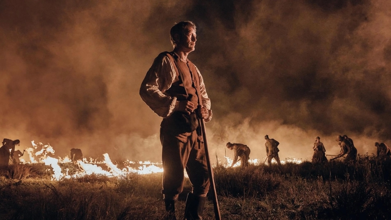 Hakken, beuken en zagen: drie strijdbare films om vanavond te kijken!