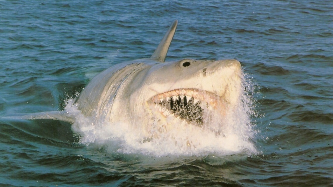 Trailer 'Jaws goes to the Bahamas': Het verhaal achter een van de slechtste sequels aller tijden
