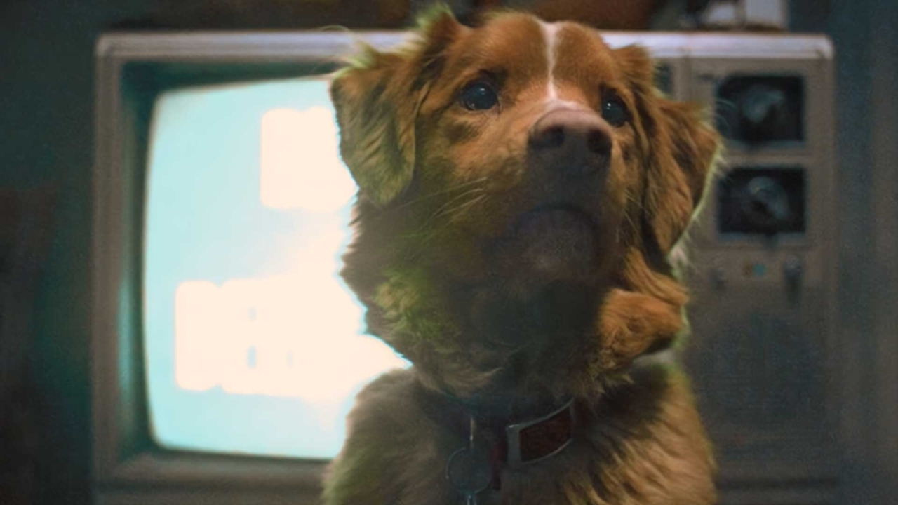 Van virale sensatie naar brede release: 'Good Boy' komt eraan