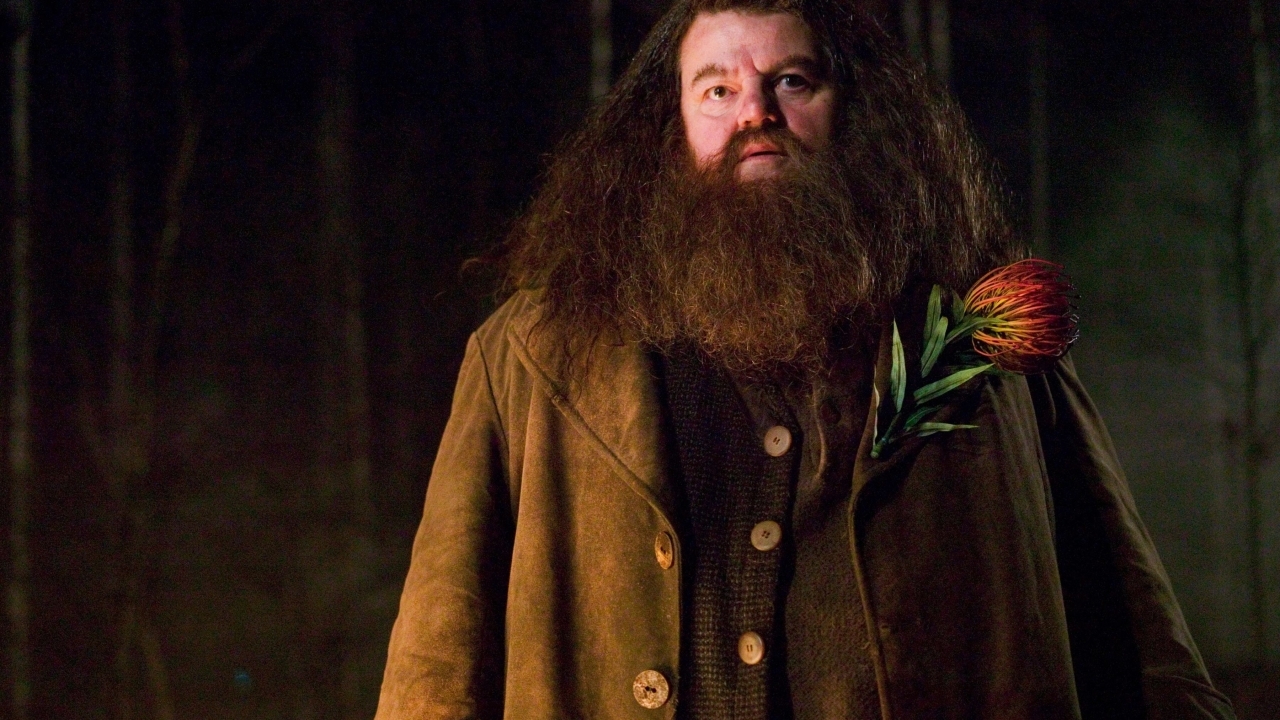 'Harry Potter'-regisseur haalt uit naar serie: "Dit is toch gewoon mijn werk?"