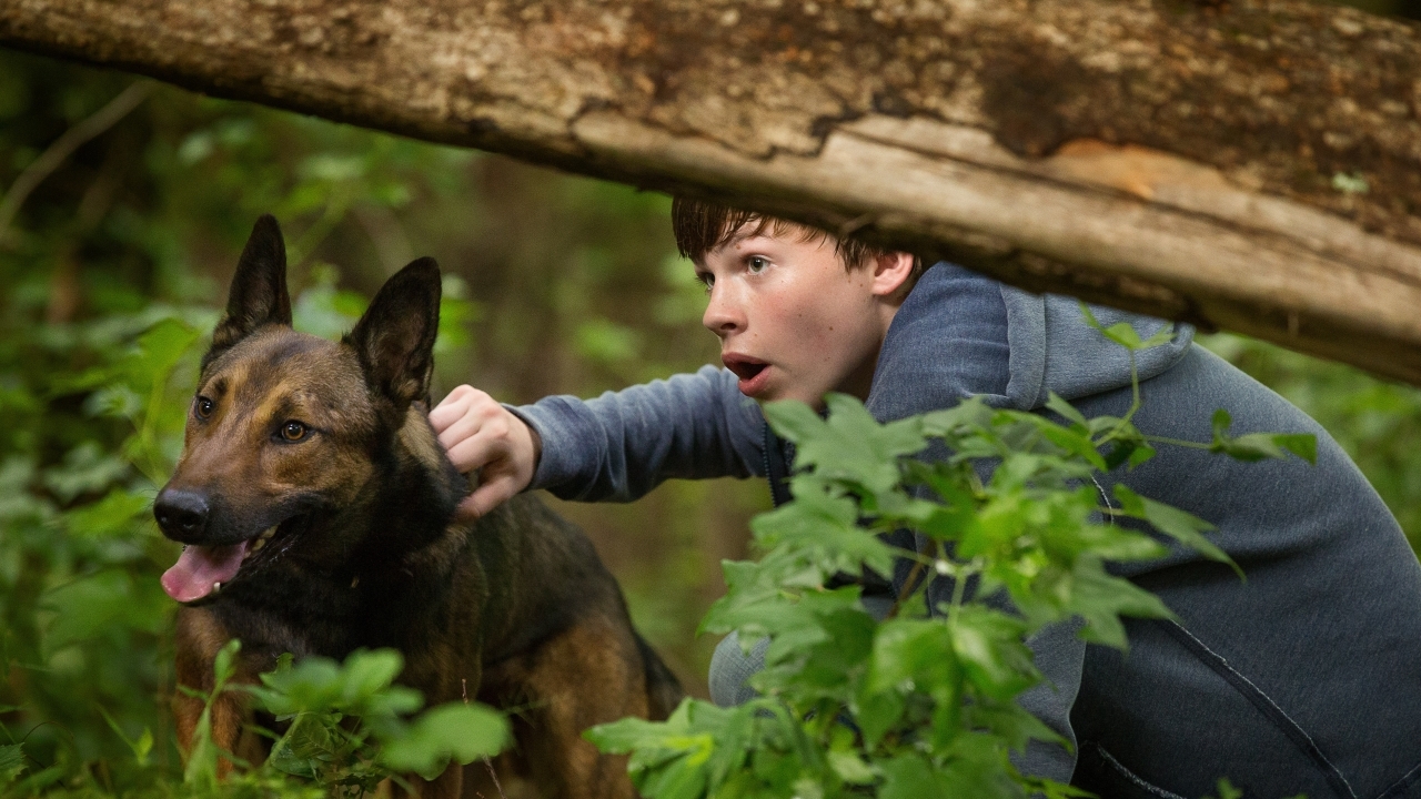 Opvallende oorlogsfilm die heel anders is dan mening oorlogsfilm nu erg goed bekeken op Netflix