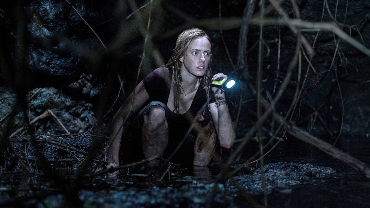 Binnenkort zwemmen er weer enorme alligators over het witte doek