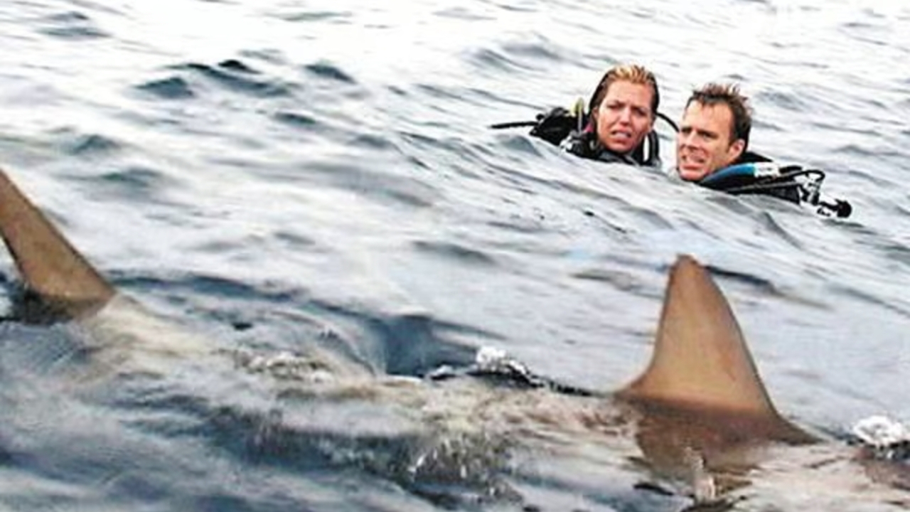 Deze haaienfilm is gebaseerd op een waargebeurd verhaal en dat maakt hem juist zo ontzettend beklemmend