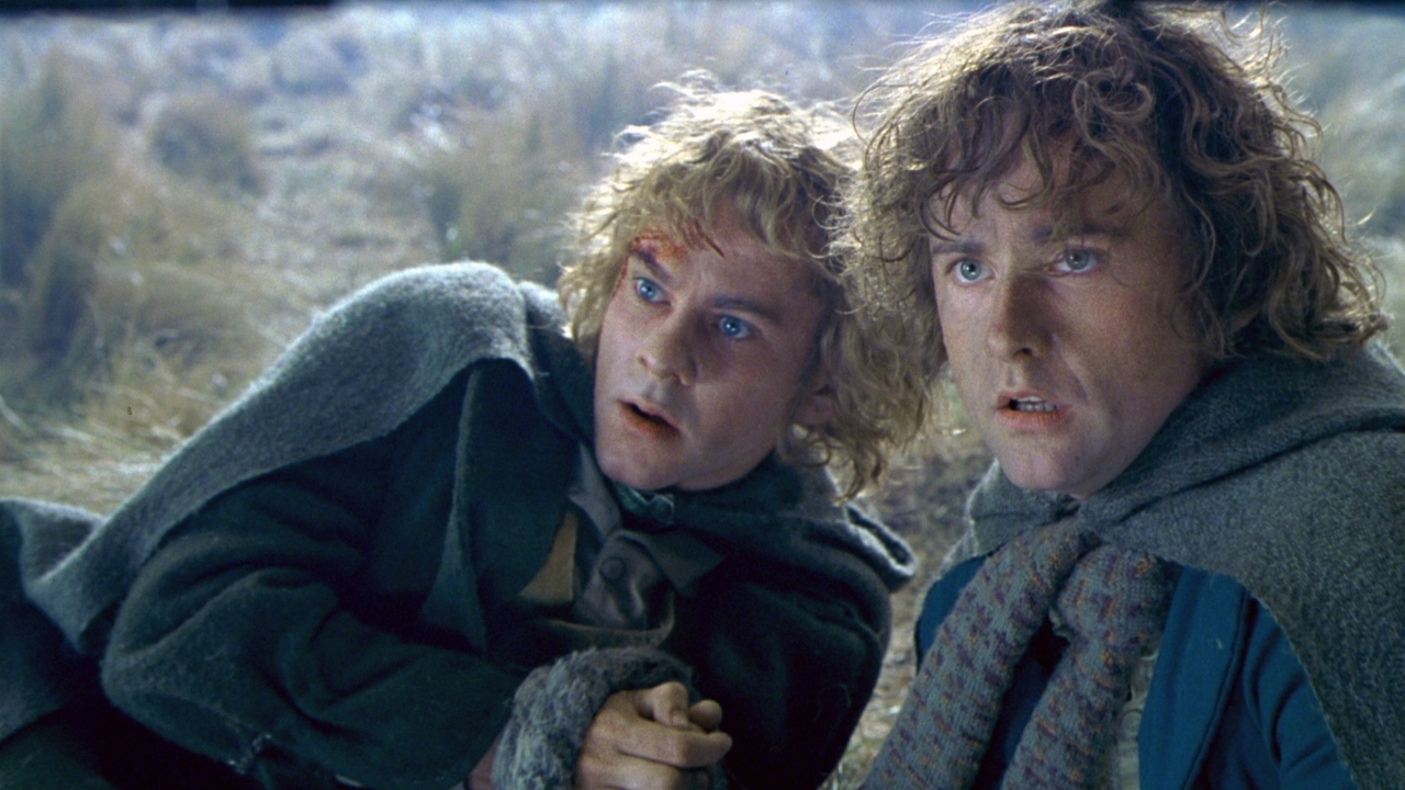 Wat gebeurde er met Merry en Pippin na 'The Lord of the Rings: Return of the King'?