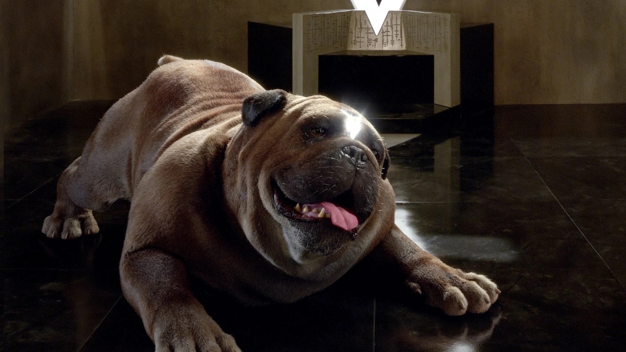 IMAX-film 'Inhumans' en 'Tulip Fever' floppen tijdens bioscoopcrash