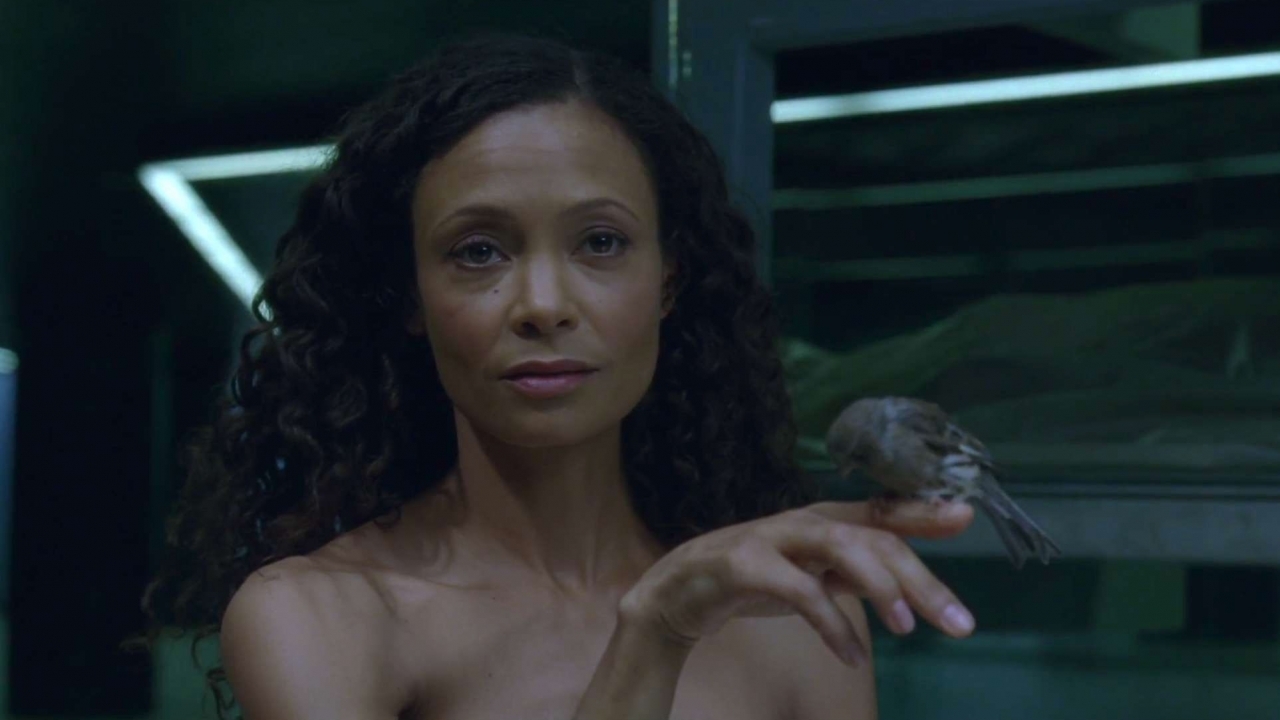 Thandiwe Newton (Solo: A Star Wars Story) liet rol in superheldenfilm aan zich voorbij gaan