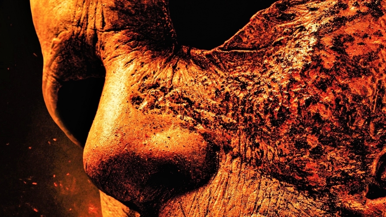 Deze keiharde horrorfilm kijk je vanaf volgende week op deze streamingdienst