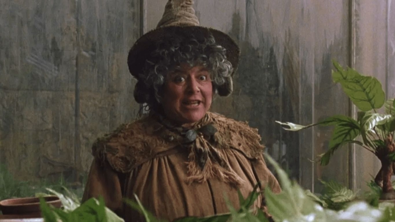 Professor Stronk haalt uit naar 'saaie Harry Potter'-films